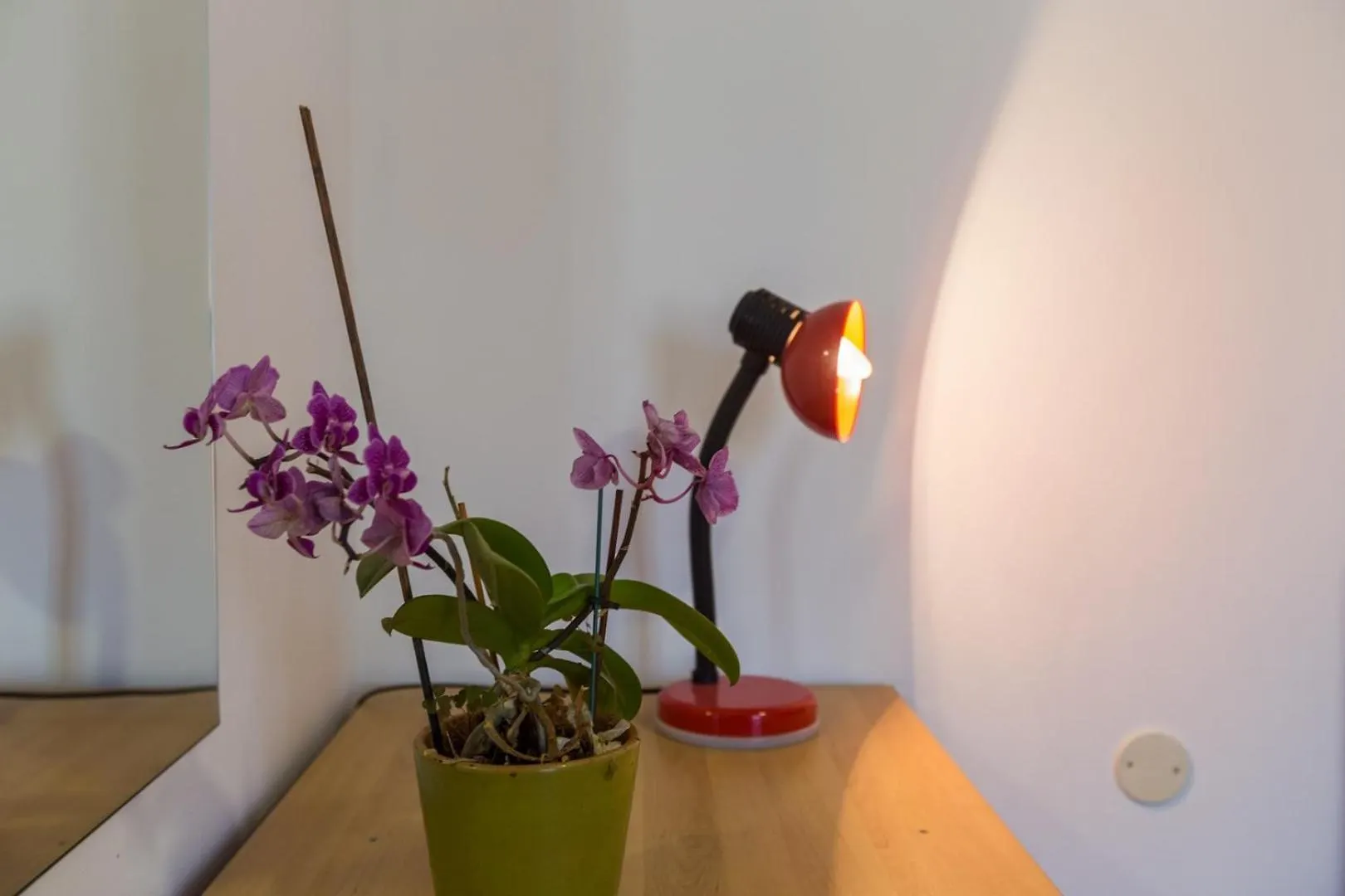 App Luka 1 - Green Garden For Children And Pets Porec