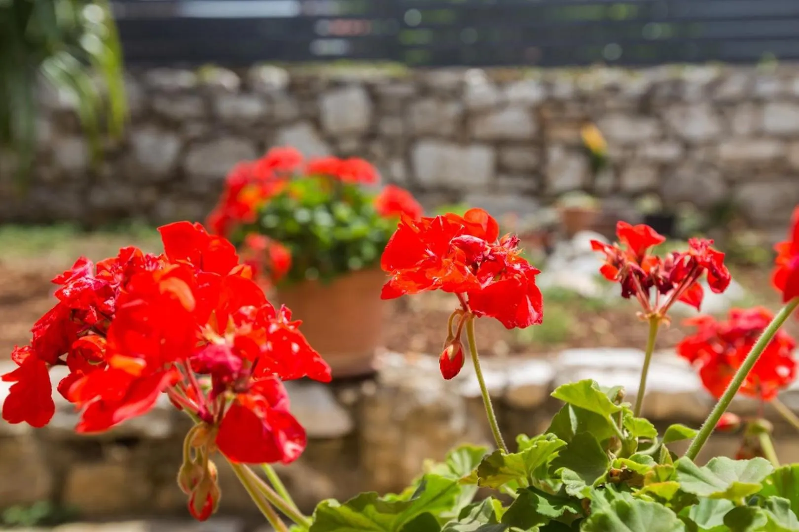 App Luka 1 - Green Garden For Children And Pets Porec Guest house