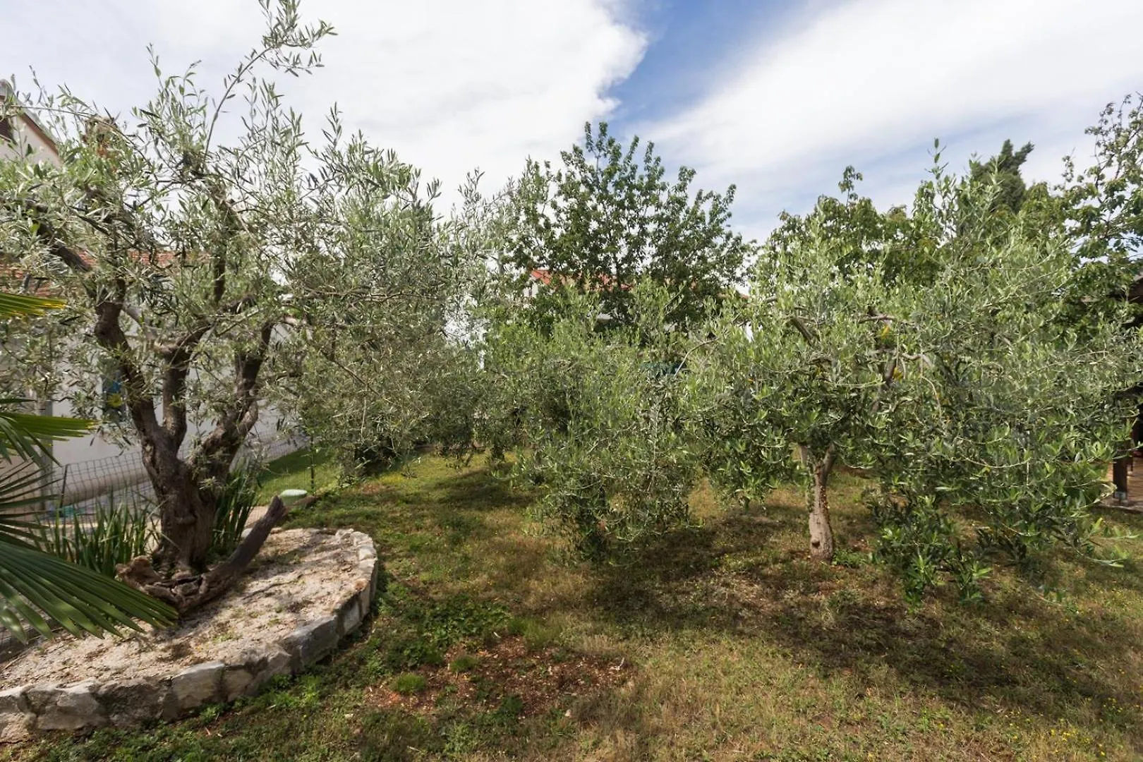 App Luka 1 - Green Garden For Children And Pets Porec